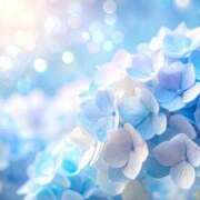 ヒメ日記 2025/06/25 12:37 投稿 月城 まお ホットアロマ