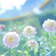 ヒメ日記 2025/06/25 15:21 投稿 月城 まお ホットアロマ