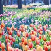 ヒメ日記 2025/06/30 14:41 投稿 月城 まお ホットアロマ