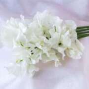 ヒメ日記 2025/06/30 19:45 投稿 月城 まお ホットアロマ