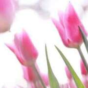 ヒメ日記 2025/07/12 14:07 投稿 月城 まお ホットアロマ