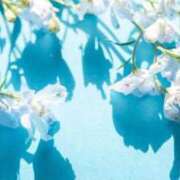 ヒメ日記 2025/07/14 14:28 投稿 月城 まお ホットアロマ