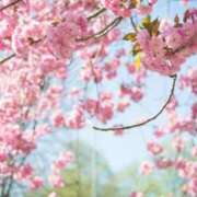 ヒメ日記 2025/07/27 20:40 投稿 月城 まお ホットアロマ