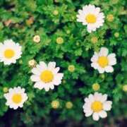 ヒメ日記 2025/08/25 11:23 投稿 月城 まお ホットアロマ