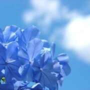 ヒメ日記 2025/08/25 16:38 投稿 月城 まお ホットアロマ