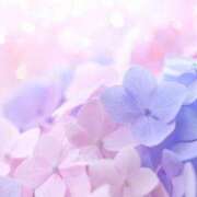 月城 まお 向かってます༊·˚ ホットアロマ