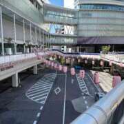 ヒメ日記 2025/07/25 08:41 投稿 桃山　春奈 30・40・50代☆人妻熟女コレクション