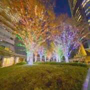 桃山　春奈 12月ですねぇ〜🎄 30・40・50代☆人妻熟女コレクション