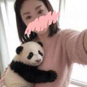 ヒメ日記 2026/02/24 10:04 投稿 桃山　春奈 30・40・50代☆人妻熟女コレクション