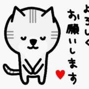 ひめ♡色白スレンダー♡超美人 😊🍻 ラヴァーズ