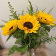 ヒメ日記 2025/06/24 21:57 投稿 平井なるみ MIRAI TOKYO 六本木店