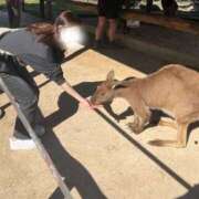 ヒメ日記 2025/09/12 17:00 投稿 平井なるみ MIRAI TOKYO 新宿店