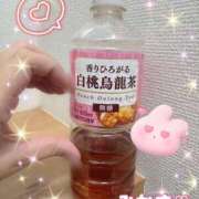 ヒメ日記 2025/12/09 23:45 投稿 みかさ 千葉人妻花壇