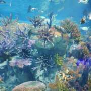 ヒメ日記 2025/08/05 13:55 投稿 コユキ【FG系列】 オトナdeフィーリングin八王子(FG系列)