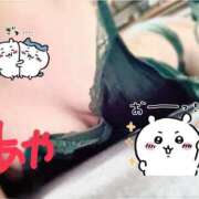 ヒメ日記 2026/02/18 18:00 投稿 あや スピードエコ天王寺店