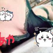 ヒメ日記 2026/03/05 17:02 投稿 あや スピードエコ天王寺店