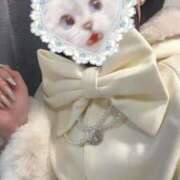 ねね【小柄美乳美女】 見てもらえるかな？ Mode（モード）◆理想の彼女◆