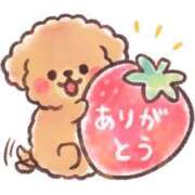 ヒメ日記 2025/08/14 15:26 投稿 みいママ 千葉松戸ちゃんこ