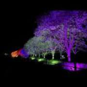 ヒメ日記 2025/06/17 15:55 投稿 Sora【そら】～八代櫻華～ 九州熟女　八代店