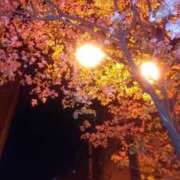 ヒメ日記 2025/06/28 11:45 投稿 Sora【そら】～八代櫻華～ 九州熟女　八代店