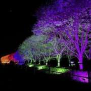 ヒメ日記 2025/06/17 21:31 投稿 Sora【そら】～八代櫻華～ 熊本　櫻華