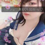 ヒメ日記 2025/08/01 12:18 投稿 さくら 白いぽっちゃりさん仙台店