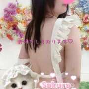 ヒメ日記 2025/08/09 16:58 投稿 さくら 白いぽっちゃりさん仙台店