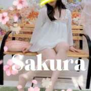 ヒメ日記 2025/08/11 11:48 投稿 さくら 白いぽっちゃりさん仙台店