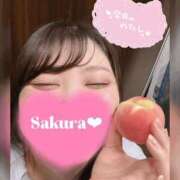 ヒメ日記 2025/08/16 14:18 投稿 さくら 白いぽっちゃりさん仙台店