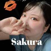 ヒメ日記 2025/08/17 17:20 投稿 さくら 白いぽっちゃりさん仙台店