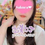 ヒメ日記 2025/08/19 13:08 投稿 さくら 白いぽっちゃりさん仙台店