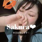 ヒメ日記 2025/08/20 20:34 投稿 さくら 白いぽっちゃりさん仙台店