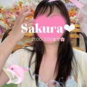 ヒメ日記 2025/08/21 12:28 投稿 さくら 白いぽっちゃりさん仙台店