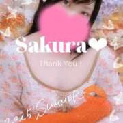 ヒメ日記 2025/08/24 17:55 投稿 さくら 白いぽっちゃりさん仙台店