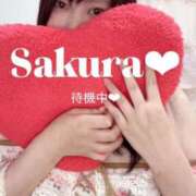 ヒメ日記 2025/09/06 20:37 投稿 さくら 白いぽっちゃりさん仙台店