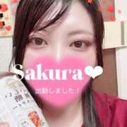 ヒメ日記 2025/09/08 20:33 投稿 さくら 白いぽっちゃりさん仙台店