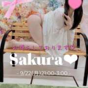 ヒメ日記 2025/09/22 12:58 投稿 さくら 白いぽっちゃりさん仙台店