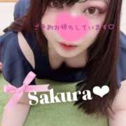 ヒメ日記 2025/11/03 17:33 投稿 さくら 白いぽっちゃりさん仙台店