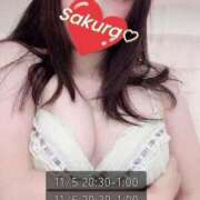 ヒメ日記 2025/11/05 01:18 投稿 さくら 白いぽっちゃりさん仙台店