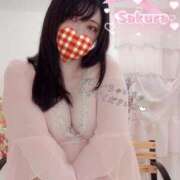 ヒメ日記 2025/11/14 20:00 投稿 さくら 白いぽっちゃりさん仙台店