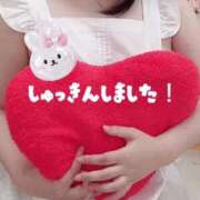 ヒメ日記 2025/11/24 14:40 投稿 さくら 白いぽっちゃりさん仙台店