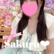 ヒメ日記 2026/03/13 19:05 投稿 さくら 白いぽっちゃりさん仙台店