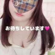 ヒメ日記 2026/03/14 08:08 投稿 さくら 白いぽっちゃりさん仙台店