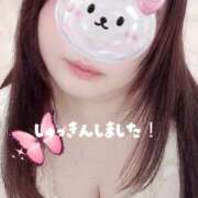 ヒメ日記 2026/03/29 12:14 投稿 さくら 白いぽっちゃりさん仙台店