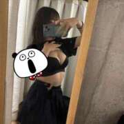 ヒメ日記 2025/09/19 20:15 投稿 れむ チェリー