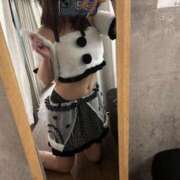 ヒメ日記 2025/10/26 18:35 投稿 れむ チェリー