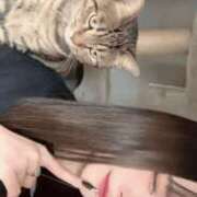 れむ とちゅ チェリー