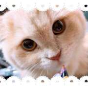 ヒメ日記 2025/10/23 13:01 投稿 バハムート Cawaiiハイ！スクールリターンズ