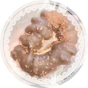 ヒメ日記 2025/12/11 13:01 投稿 バハムート Cawaiiハイ！スクールリターンズ