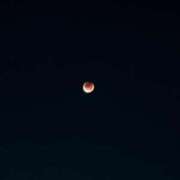 ヒメ日記 2025/09/08 14:13 投稿 かえで ぷよステーション大宮店